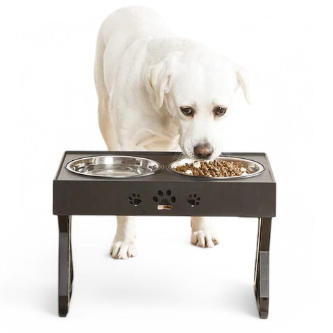 Verstelbare Hondenvoerbak&nbsp;