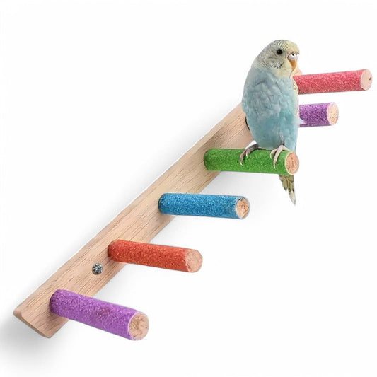 Kleurrijke Houten Vogelzitstok